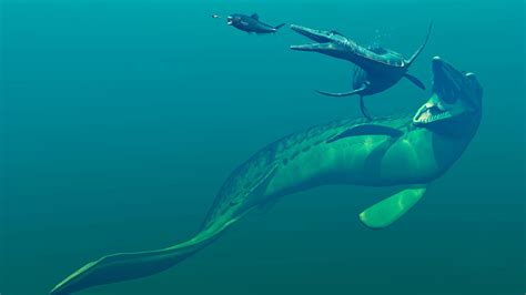 what did the mosasaurus eat.